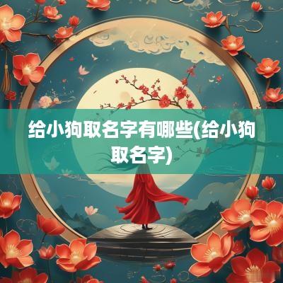 给小狗取名字有哪些(给小狗取名字)