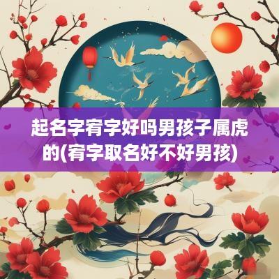 起名字宥字好吗男孩子属虎的(宥字取名好不好男孩)