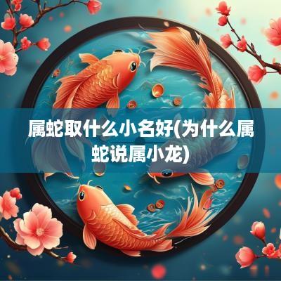 属蛇取什么小名好(为什么属蛇说属小龙)