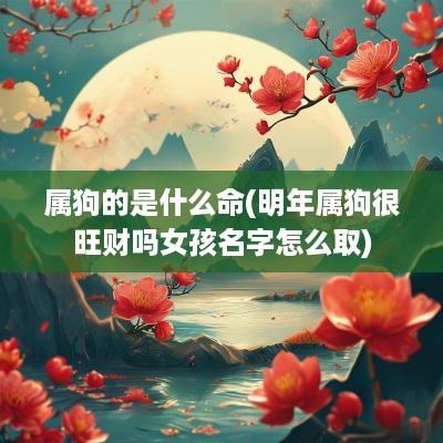 属狗的是什么命(明年属狗很旺财吗女孩名字怎么取)