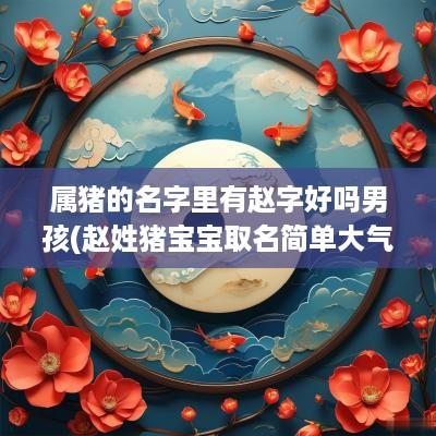 属猪的名字里有赵字好吗男孩(赵姓猪宝宝取名简单大气)