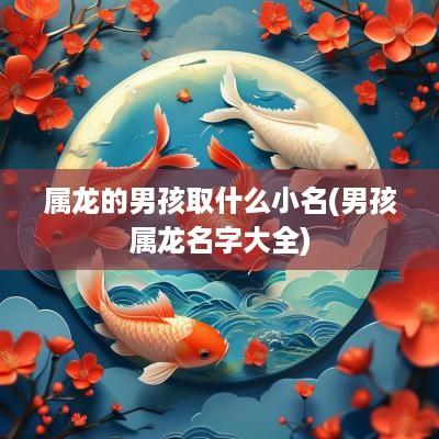 属龙的男孩取什么小名(男孩属龙名字大全)