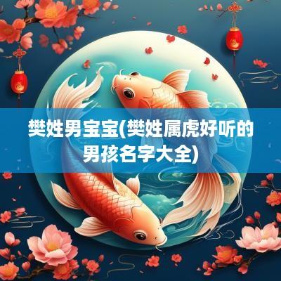 樊姓男宝宝(樊姓属虎好听的男孩名字大全)