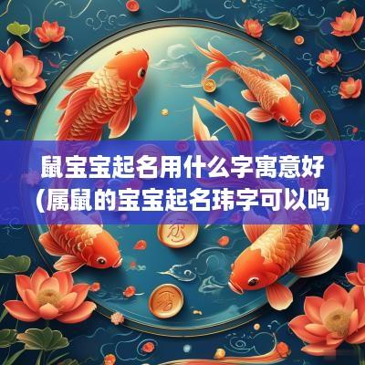 鼠宝宝起名用什么字寓意好(属鼠的宝宝起名玮字可以吗怎么起)