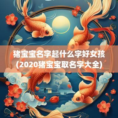 猪宝宝名字起什么字好女孩(2025猪宝宝取名字大全)