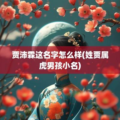 贾沛霖这名字怎么样(姓贾属虎男孩小名)