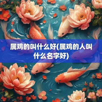 属鸡的叫什么好(属鸡的人叫什么名字好)
