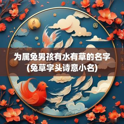 为属兔男孩有水有草的名字(兔草字头诗意小名)