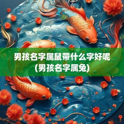 男孩名字属鼠带什么字好呢(男孩名字属兔)