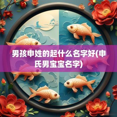 男孩申姓的起什么名字好(申氏男宝宝名字)