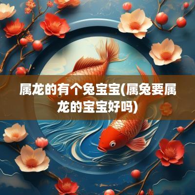 属龙的有个兔宝宝(属兔要属龙的宝宝好吗)