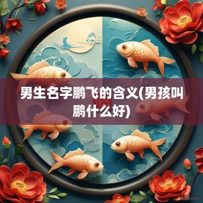 男生名字鹏飞的含义(男孩叫鹏什么好)