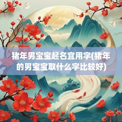 猪年男宝宝起名宜用字(猪年的男宝宝取什么字比较好)