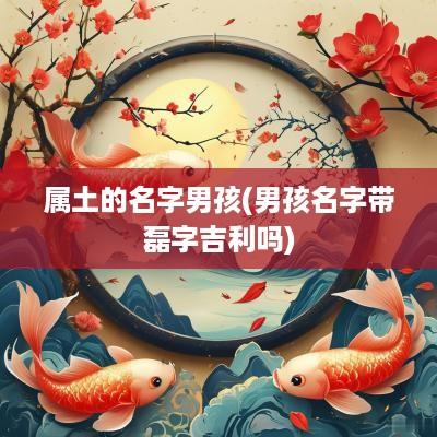 属土的名字男孩(男孩名字带磊字吉利吗)