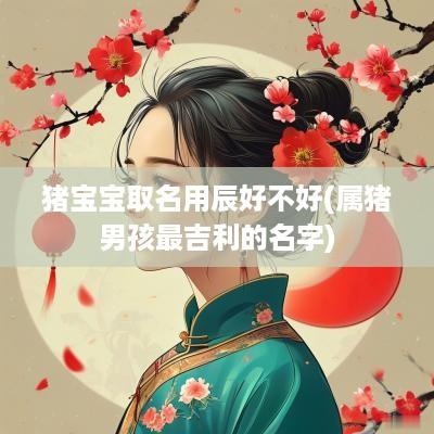 猪宝宝取名用辰好不好(属猪男孩最吉利的名字)