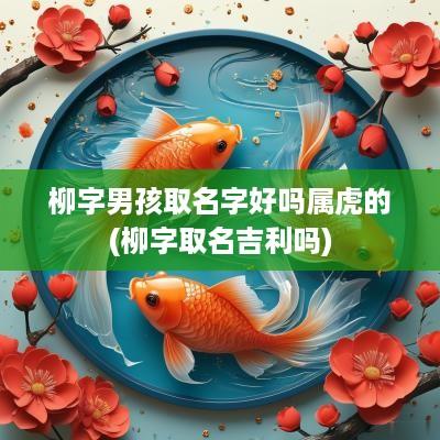 柳字男孩取名字好吗属虎的(柳字取名吉利吗)