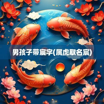 男孩子带宸字(属虎取名宸)