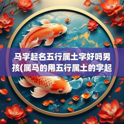 马字起名五行属土字好吗男孩(属马的用五行属土的字起名)
