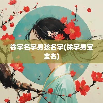 徐字名字男孩名字(徐字男宝宝名)