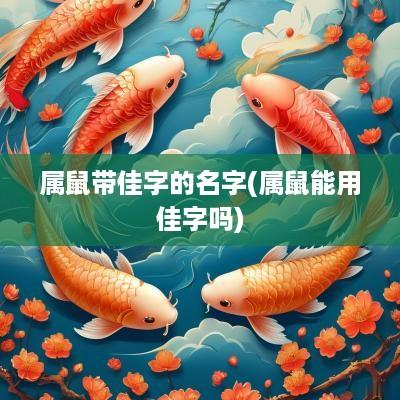 属鼠带佳字的名字(属鼠能用佳字吗)