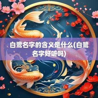 白鹭名字的含义是什么(白鹭名字好听吗)
