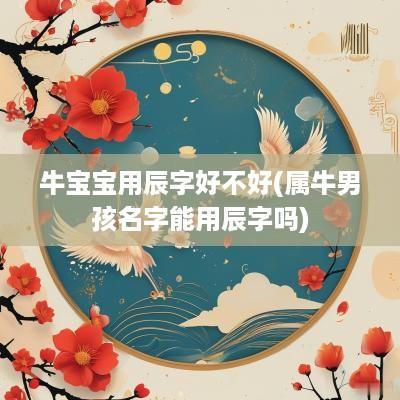 牛宝宝用辰字好不好(属牛男孩名字能用辰字吗)