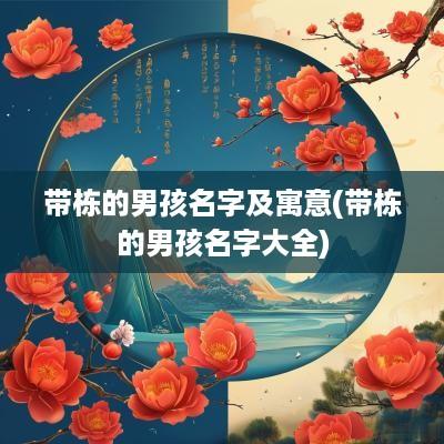 带栋的男孩名字及寓意(带栋的男孩名字大全)