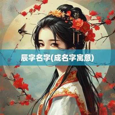辰字名字(成名字寓意)