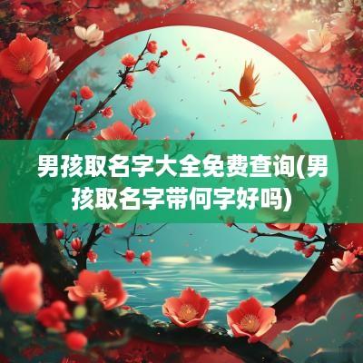 男孩取名字大全免费查询(男孩取名字带何字好吗)