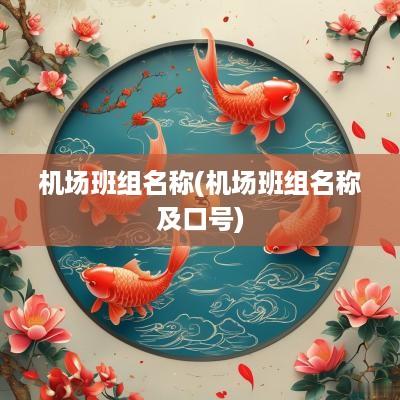 机场班组名称(机场班组名称及口号)