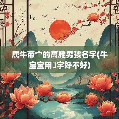 属牛带宀的高雅男孩名字(牛宝宝用祎字好不好)