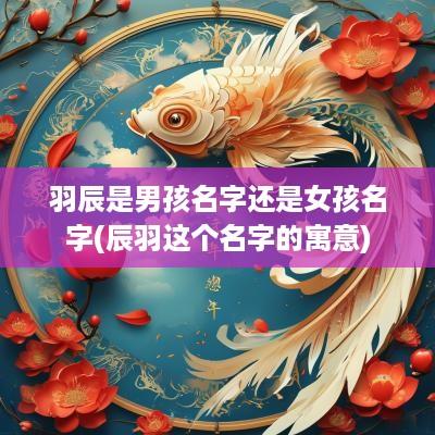 羽辰是男孩名字还是女孩名字(辰羽这个名字的寓意)