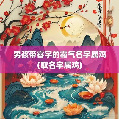 男孩带睿字的霸气名字属鸡(取名字属鸡)