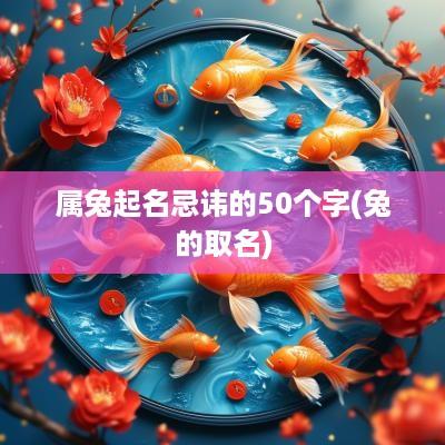 属兔起名忌讳的50个字(兔的取名)