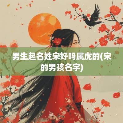男生起名姓宋好吗属虎的(宋的男孩名字)