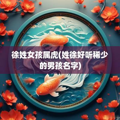 徐姓女孩属虎(姓徐好听稀少的男孩名字)