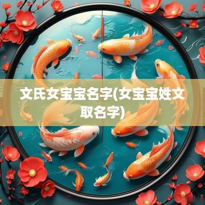 文氏女宝宝名字(女宝宝姓文取名字)