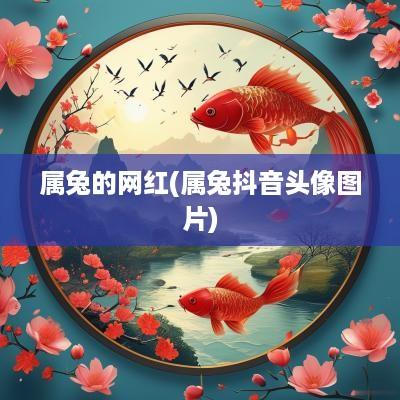 属兔的网红(属兔抖音头像图片)