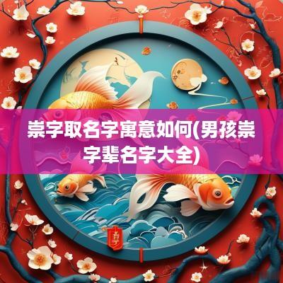 崇字取名字寓意如何(男孩崇字辈名字大全)