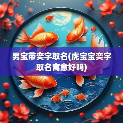 男宝带奕字取名(虎宝宝奕字取名寓意好吗)