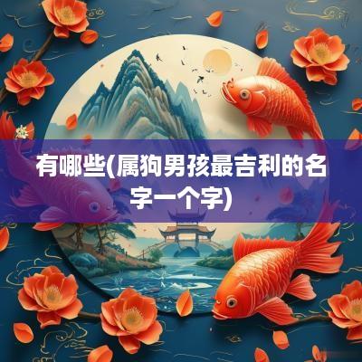 有哪些(属狗男孩最吉利的名字一个字)