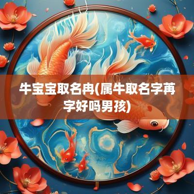 牛宝宝取名冉(属牛取名字苒字好吗男孩)