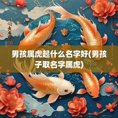 男孩属虎起什么名字好(男孩子取名字属虎)