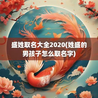 盛姓取名大全2025(姓盛的男孩子怎么取名字)