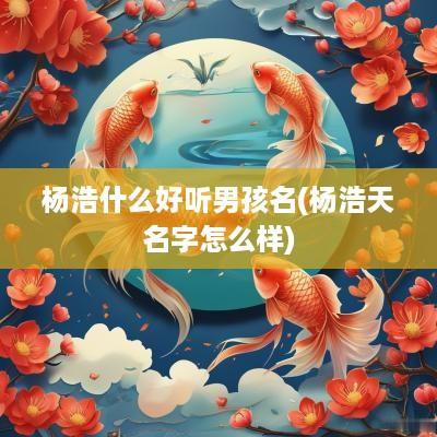 杨浩什么好听男孩名(杨浩天名字怎么样)