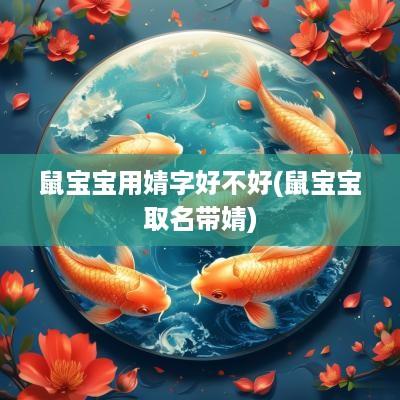 鼠宝宝用婧字好不好(鼠宝宝取名带婧)