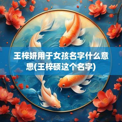 王梓妍用于女孩名字什么意思(王梓硕这个名字)
