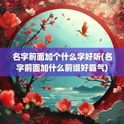 名字前面加个什么字好听(名字前面加什么前缀好霸气)