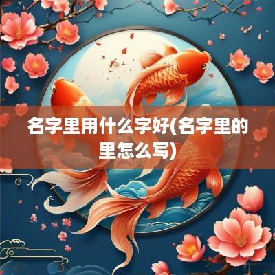 名字里用什么字好(名字里的里怎么写)