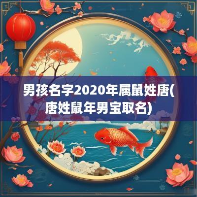 男孩名字2025年属鼠姓唐(唐姓蛇年男宝取名)